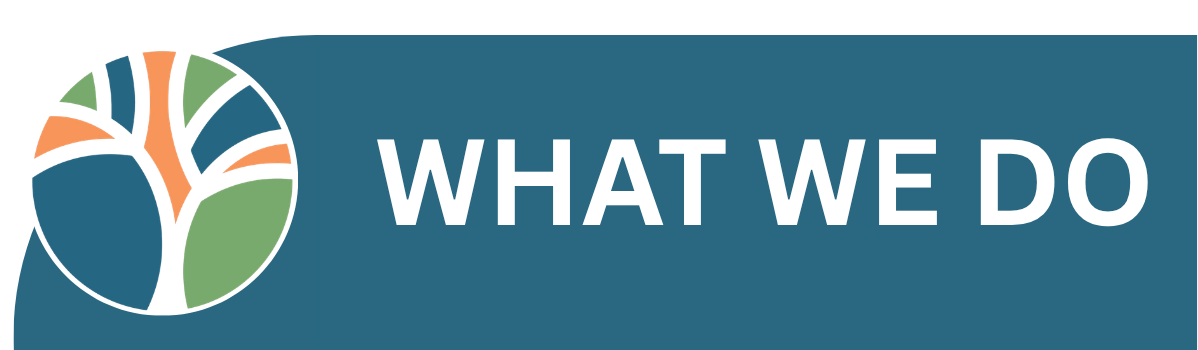 about us our story header image